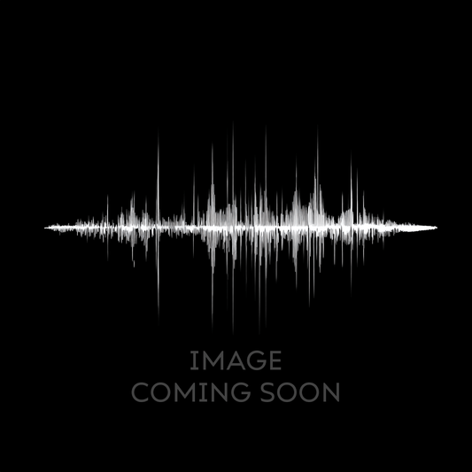 Royalty-Free Instrumentals for Corporate Campaigns