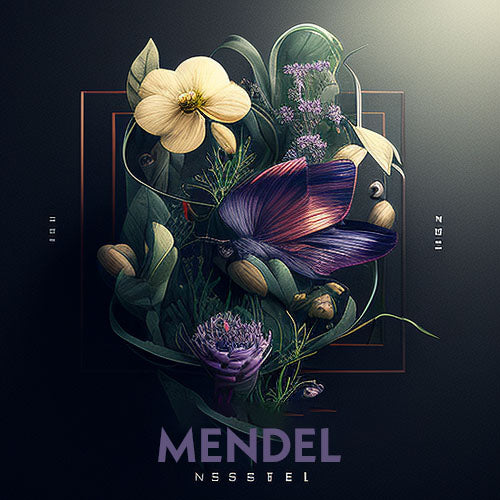 Mendel - R&B Beat